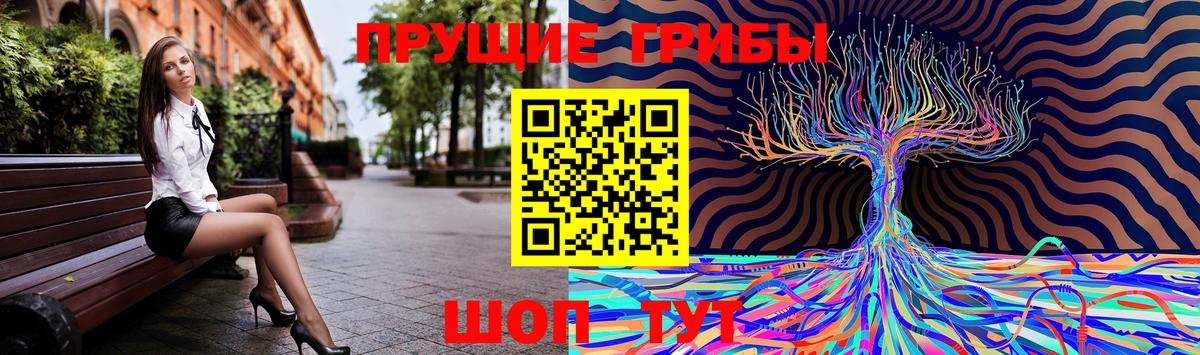 Псилоцибиновые грибы MAGIC MUSHROOMS  Псилоцибиновые грибы ЛСД  Ялта  Вход с VPN 