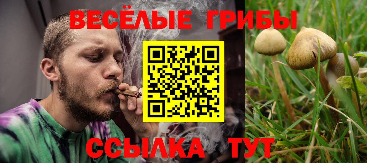 Галлюциногенные грибы мицелий Ялта